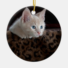 美しい青い目のクリーム色の子猫 セラミックオーナメント