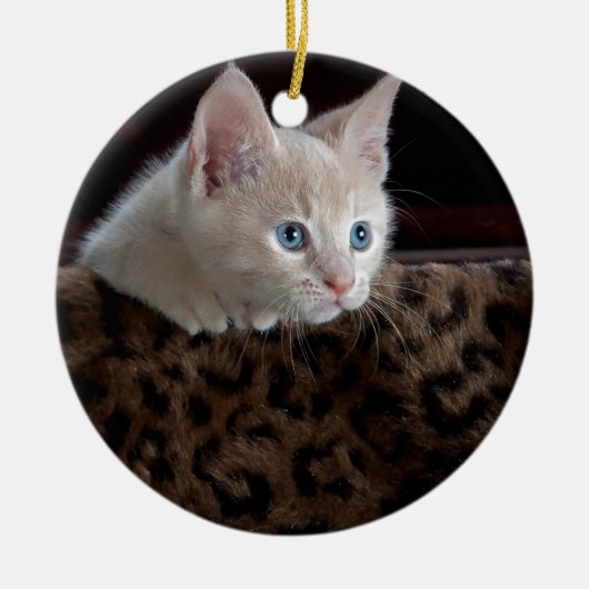 美しい青い目のクリーム色の子猫 セラミックオーナメント (正面)
