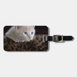 美しい青い目のクリーム色の子猫 ラゲッジタグ