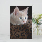 美しい青い目のクリーム色の子猫 便箋 (スタンド正面)