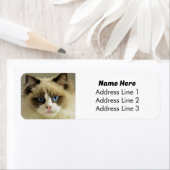 美しい青い目のラグドール猫の差出人住所 ラベル (インサイチュ)