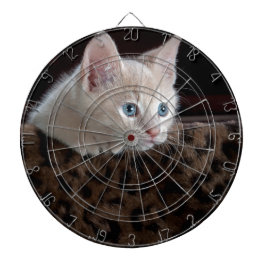 美しい青い目をしたクリーム色の子猫 ダーツボード