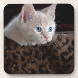 美しい青い目を持つクリームキッチン コースター