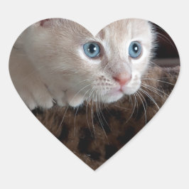 美しい青い目を持つクリームキッチン ハートシール