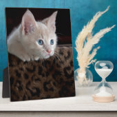 美しい青い目を持つクリームキッチン フォトプラーク (側面)