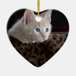 美しい青い目を持つクリーム色の子猫 セラミックオーナメント