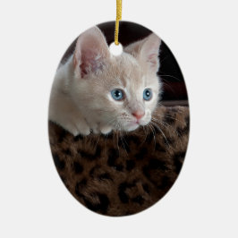 美しい青い目を持つクリーム色の子猫 セラミックオーナメント