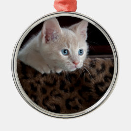 美しい青い目を持つクリーム色の子猫 メタルオーナメント