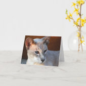 美しい青い目 カード (黄色い花)