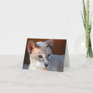 美しい青い目 カード