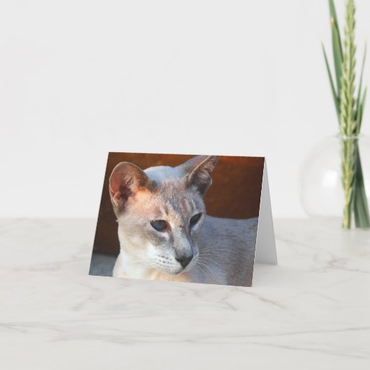 美しい青い目 カード (正面)