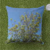 美しい青い空の写真の背の高い灰の木 アウトドアクッション (芝生)