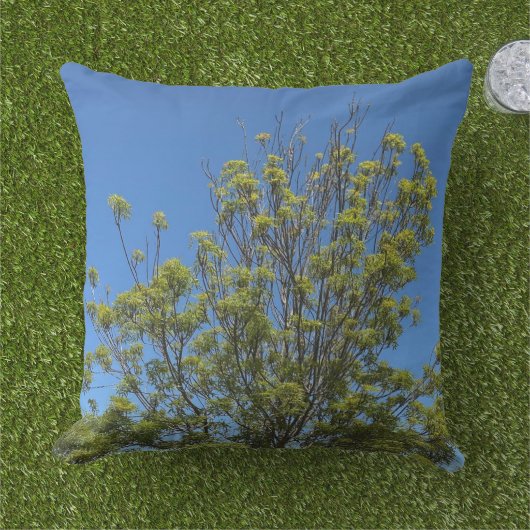 美しい青い空の写真の背の高い灰の木 アウトドアクッション (芝生)