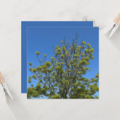 美しい青い空の写真の背の高い灰の木 カード (正面/裏面インサイチュ)