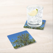 美しい青い空の写真の背の高い灰の木 スクエアペーパーコースター (インサイチュ)