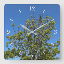 美しい青い空の写真の背の高い灰の木 スクエア壁時計
