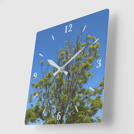美しい青い空の写真の背の高い灰の木 スクエア壁時計 (傾斜)