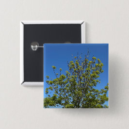 美しい青い空の写真の背の高い灰の木 缶バッジ