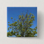 美しい青い空の写真の背の高い灰の木 缶バッジ (正面)