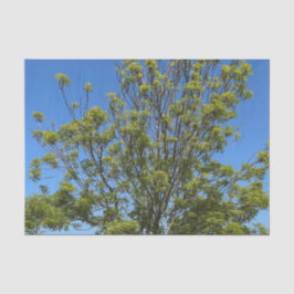 美しい青い空の写真の背の高い灰の木 薄葉紙