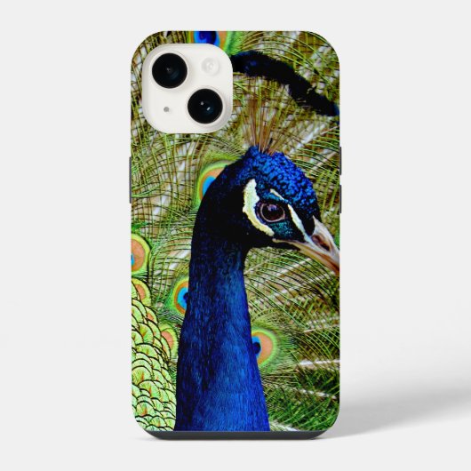 美しい青い緑の孔雀のかわいらし鳥 iPhoneケース (裏面)