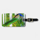 美しい青い緑の孔雀の鳥の写真エレガント ラゲッジタグ (正面横)