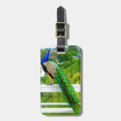 美しい青い緑の孔雀の鳥の写真エレガント ラゲッジタグ (正面縦)