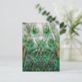 美しい青い緑の金ゴールド色クジャクの羽 ポストカード (スタンド正面)