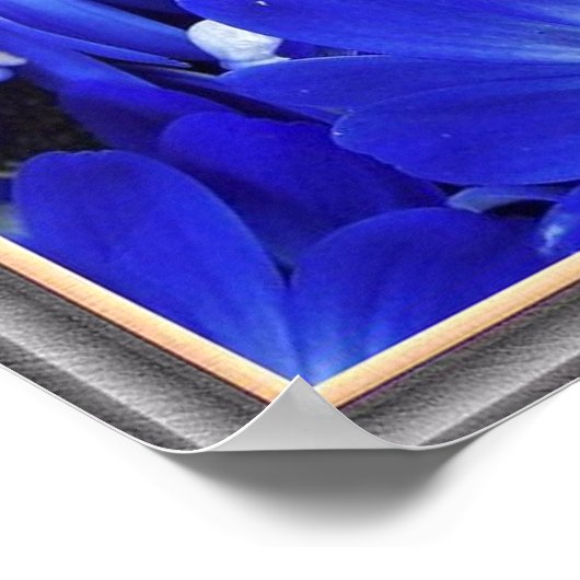 美しい青い花 ポスター (角)