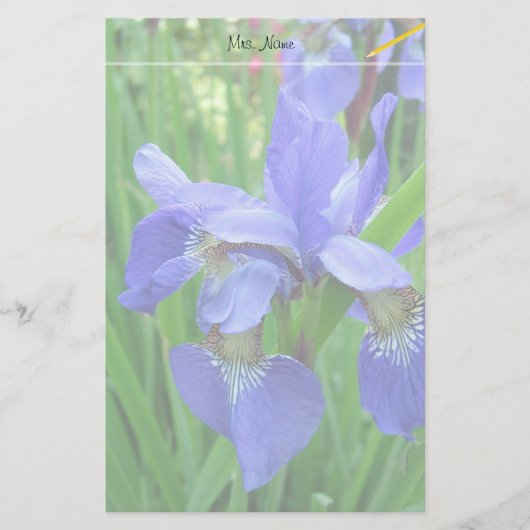 美しい青い菖蒲の花 便箋 (正面)