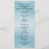 美しい青い輝き - プログラム (正面)