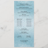 美しい青い輝き - プログラム (裏面)