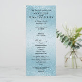 美しい青い輝き - プログラム (スタンド正面)