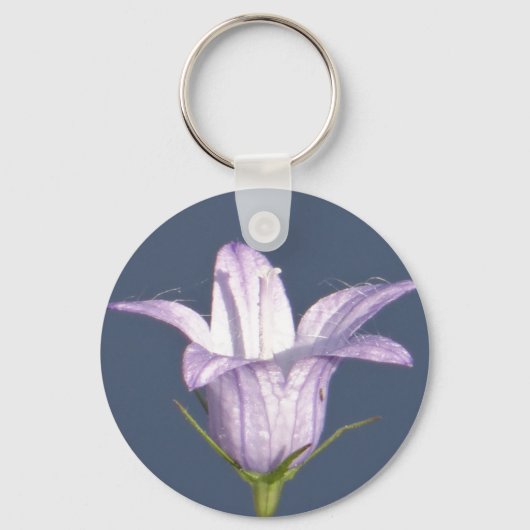 美しい青い鐘花 キーホルダー (正面)