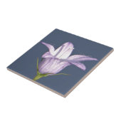 美しい青い鐘花 タイル (側面)