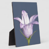 美しい青い鐘花 フォトプラーク (側面)