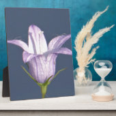 美しい青い鐘花 フォトプラーク (側面)