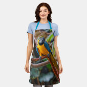 美しい青と金ゴールドマコーオウム エプロン (着用した状態)