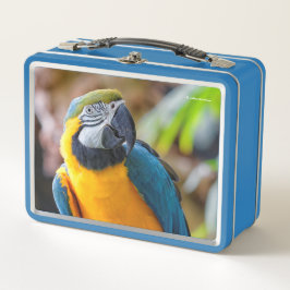 美しい青と金ゴールドマコーオウム メタルランチボックス
