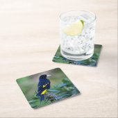 美しい青と黄色の鳥 スクエアペーパーコースター (インサイチュ)