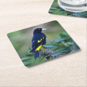 美しい青と黄色の鳥 スクエアペーパーコースター (アングル)