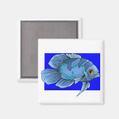 美しい青のトロピカルオスカーフィッシュ マグネット (正面/裏面)