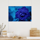 美しい青のバラ ポスター (キッチン)