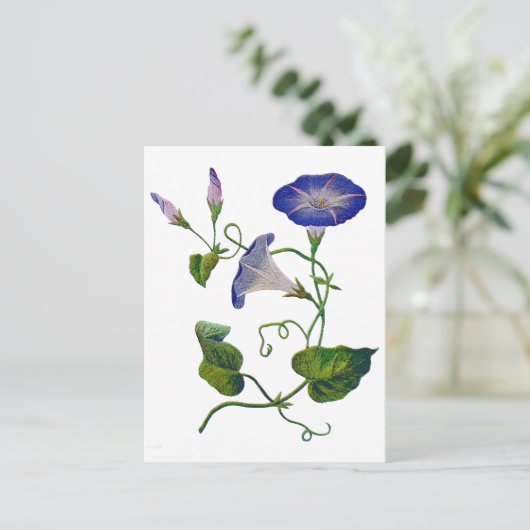 美しい青の刺繍入り朝の栄光 ポストカード (スタンド正面)