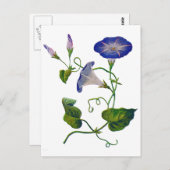 美しい青の刺繍入り朝の栄光 ポストカード (正面/裏面)