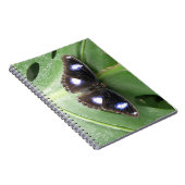 美しい青まだら蝶のノート ノートブック (右側)