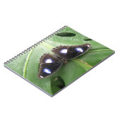 美しい青まだら蝶のノート ノートブック (左側)