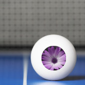 美しい青まだら蝶ピンポンボール 卓球ボール (ネット)