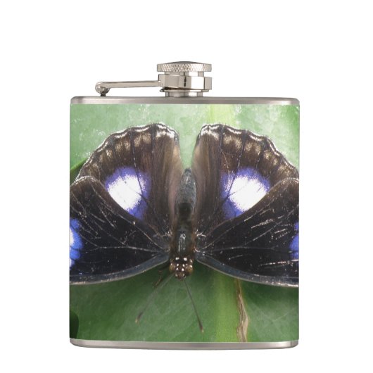 美しい青まだら蝶フラスコ フラスク (正面)