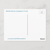 美しい青トンボはがき ポストカード (裏面)